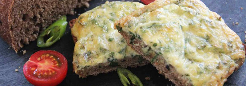 Baca Organik Hakkında